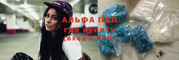 сатива Алексин