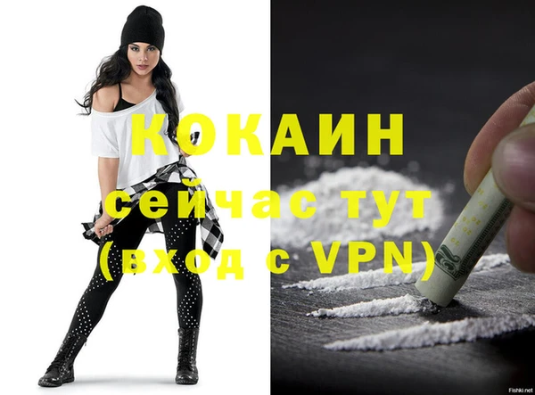 твердый Горно-Алтайск