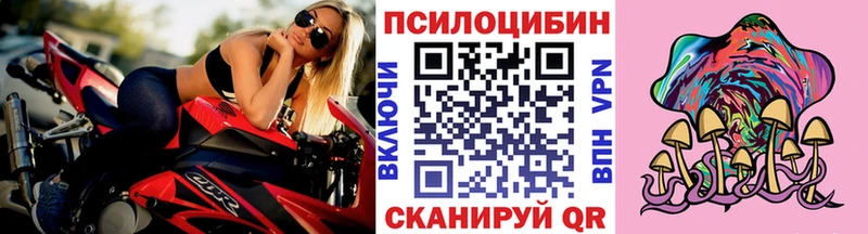 Галлюциногенные грибы Cubensis  купить наркотик  Черкесск 